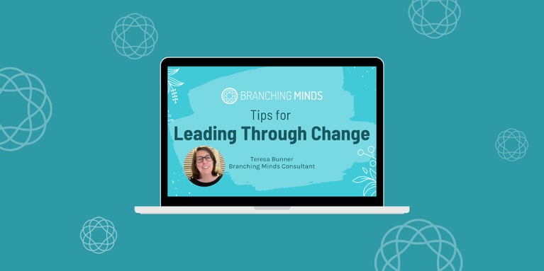 Leadership During Change and For Continuous Improvement - Video & Blog